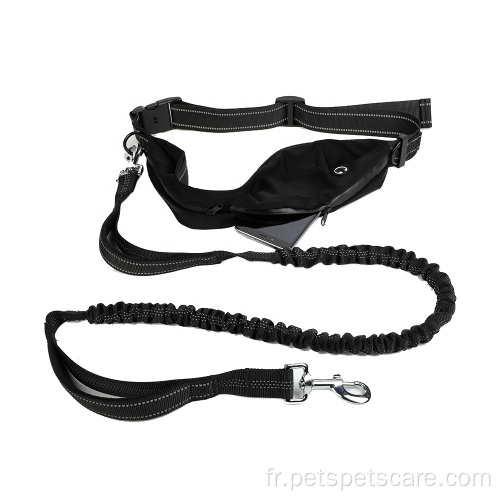 Chien Laisse Smartphone Pochette Étanche Sports Running Taille